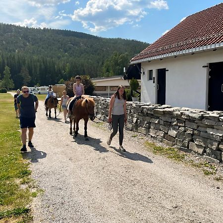 Hegna Camping Сельюр Экстерьер фото